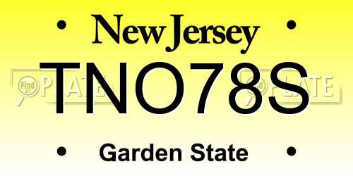 TNO78S New Jersey License Plate