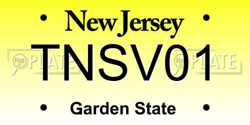 TNSV01 New Jersey License Plate