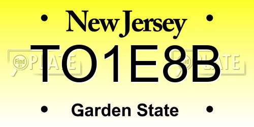 TO1E8B New Jersey License Plate