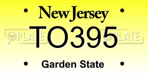 TO395 New Jersey License Plate