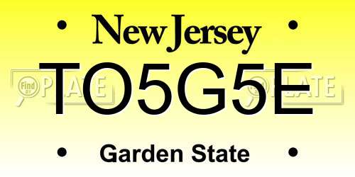 TO5G5E New Jersey License Plate