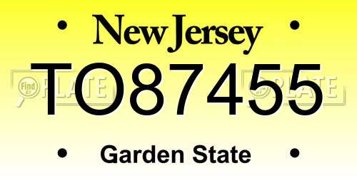 TO87455 New Jersey License Plate
