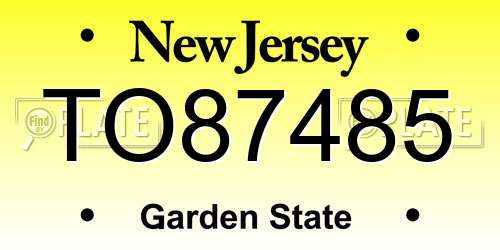 TO87485 New Jersey License Plate