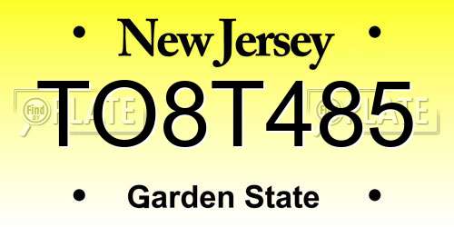 TO8T485 New Jersey License Plate