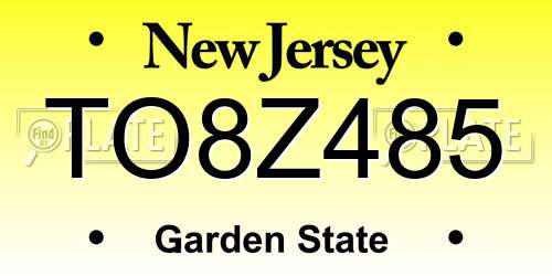TO8Z485 New Jersey License Plate
