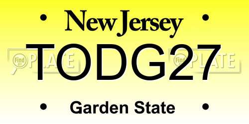 TODG27 New Jersey License Plate