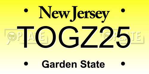 TOGZ25 New Jersey License Plate