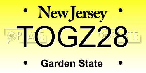 TOGZ28 New Jersey License Plate