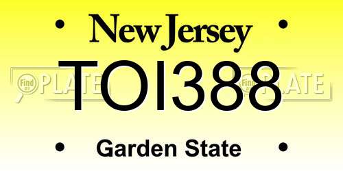 TOI388 New Jersey License Plate