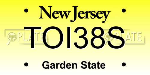 TOI38S New Jersey License Plate
