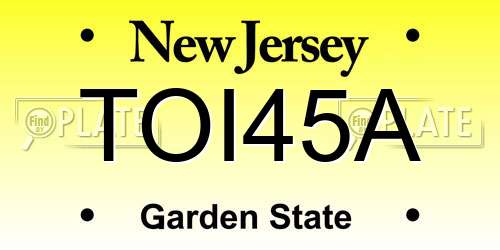 TOI45A New Jersey License Plate