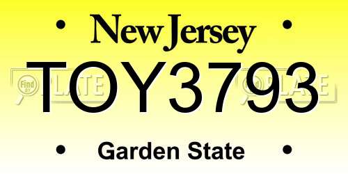 TOY3793 New Jersey License Plate
