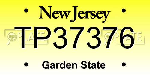 TP37376 New Jersey License Plate