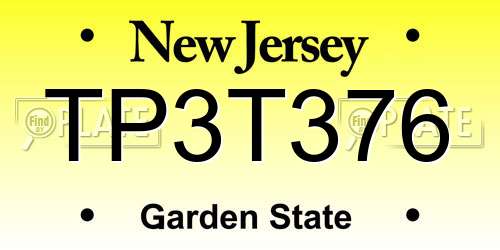 TP3T376 New Jersey License Plate