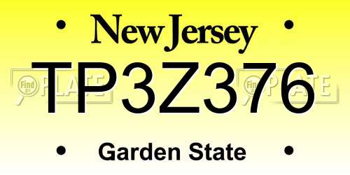 TP3Z376 New Jersey License Plate
