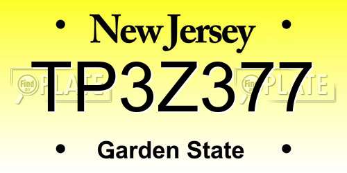 TP3Z377 New Jersey License Plate