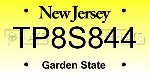 TP8S844 New Jersey License Plate