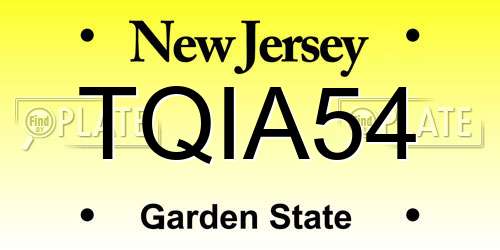 TQIA54 New Jersey License Plate