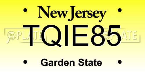 TQIE85 New Jersey License Plate