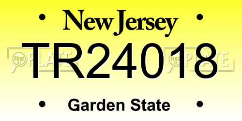 TR24018 New Jersey License Plate