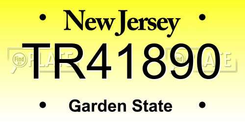 TR41890 New Jersey License Plate