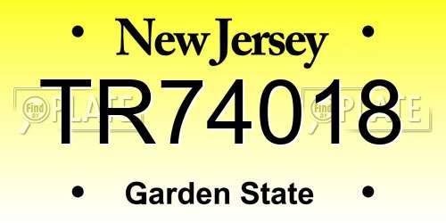 TR74018 New Jersey License Plate