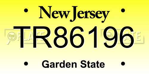 TR86196 New Jersey License Plate