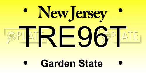 TRE96T New Jersey License Plate