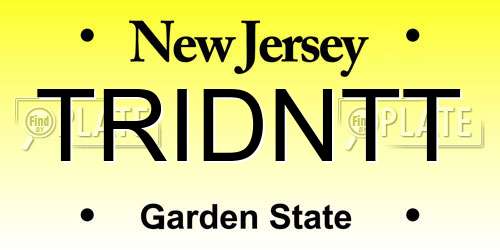 TRIDNTT New Jersey License Plate