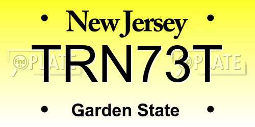 TRN73T New Jersey License Plate