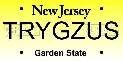 TRYGZUS New Jersey License Plate