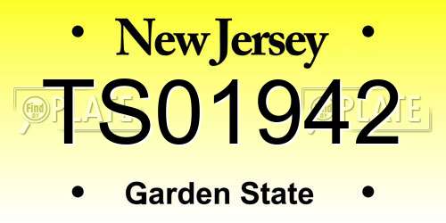TS01942 New Jersey License Plate