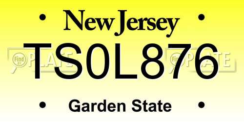 TS0L876 New Jersey License Plate