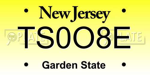 TS0O8E New Jersey License Plate