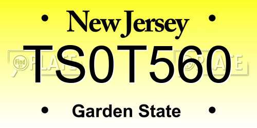 TS0T560 New Jersey License Plate