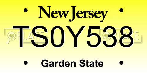 TS0Y538 New Jersey License Plate