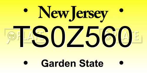 TS0Z560 New Jersey License Plate