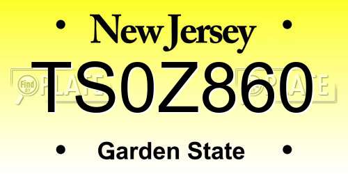 TS0Z860 New Jersey License Plate