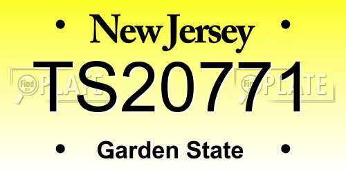TS20771 New Jersey License Plate