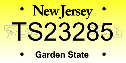 TS23285 New Jersey License Plate