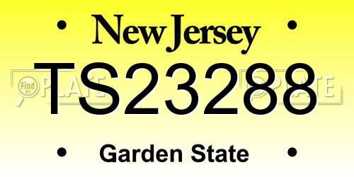 TS23288 New Jersey License Plate