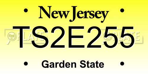 TS2E255 New Jersey License Plate