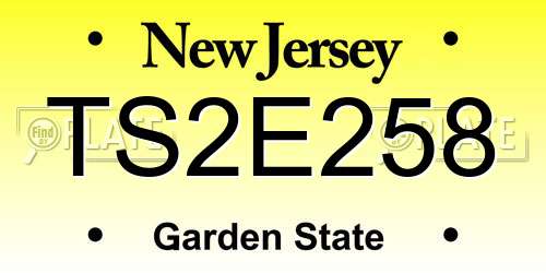 TS2E258 New Jersey License Plate