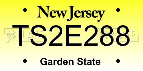 TS2E288 New Jersey License Plate