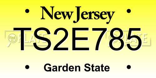 TS2E785 New Jersey License Plate