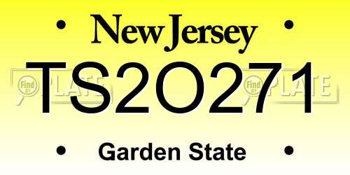 TS2O271 New Jersey License Plate