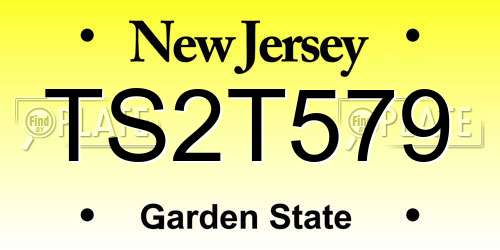 TS2T579 New Jersey License Plate
