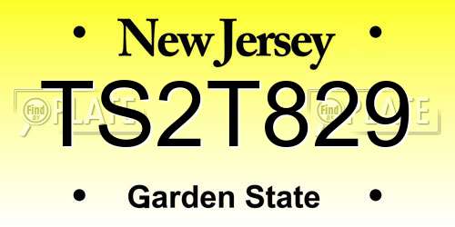 TS2T829 New Jersey License Plate