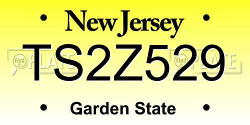 TS2Z529 New Jersey License Plate