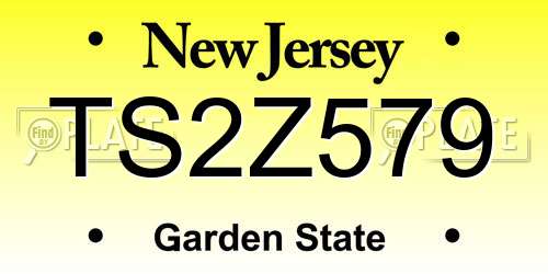 TS2Z579 New Jersey License Plate